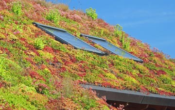 Glantlees living roof systems
