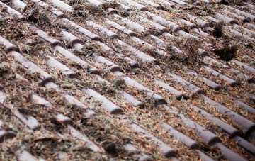 Glantlees roof cleaning companies