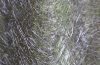 Glantlees fibreglass roof work